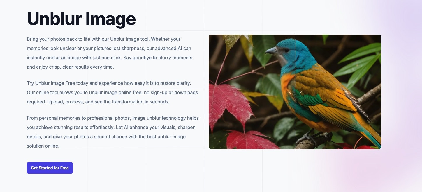 Unblur Image AI gallery image
