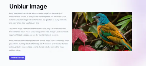 Unblur Image AI gallery image