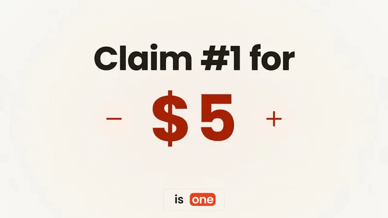 bidthe1.com screenshot 1 (video preview)