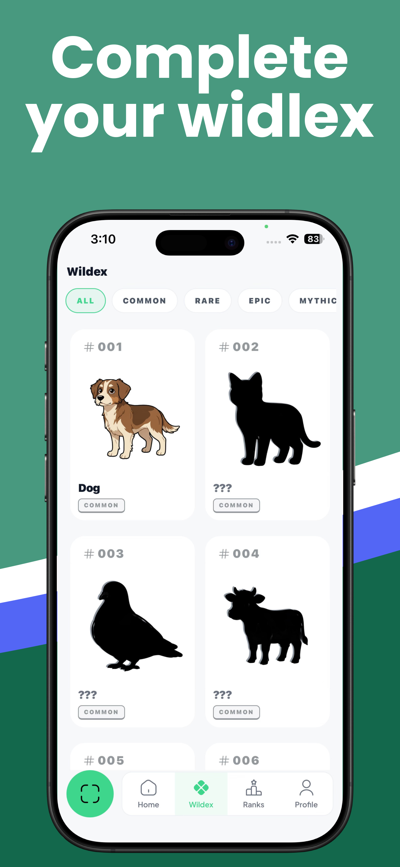 Wildgram gallery image