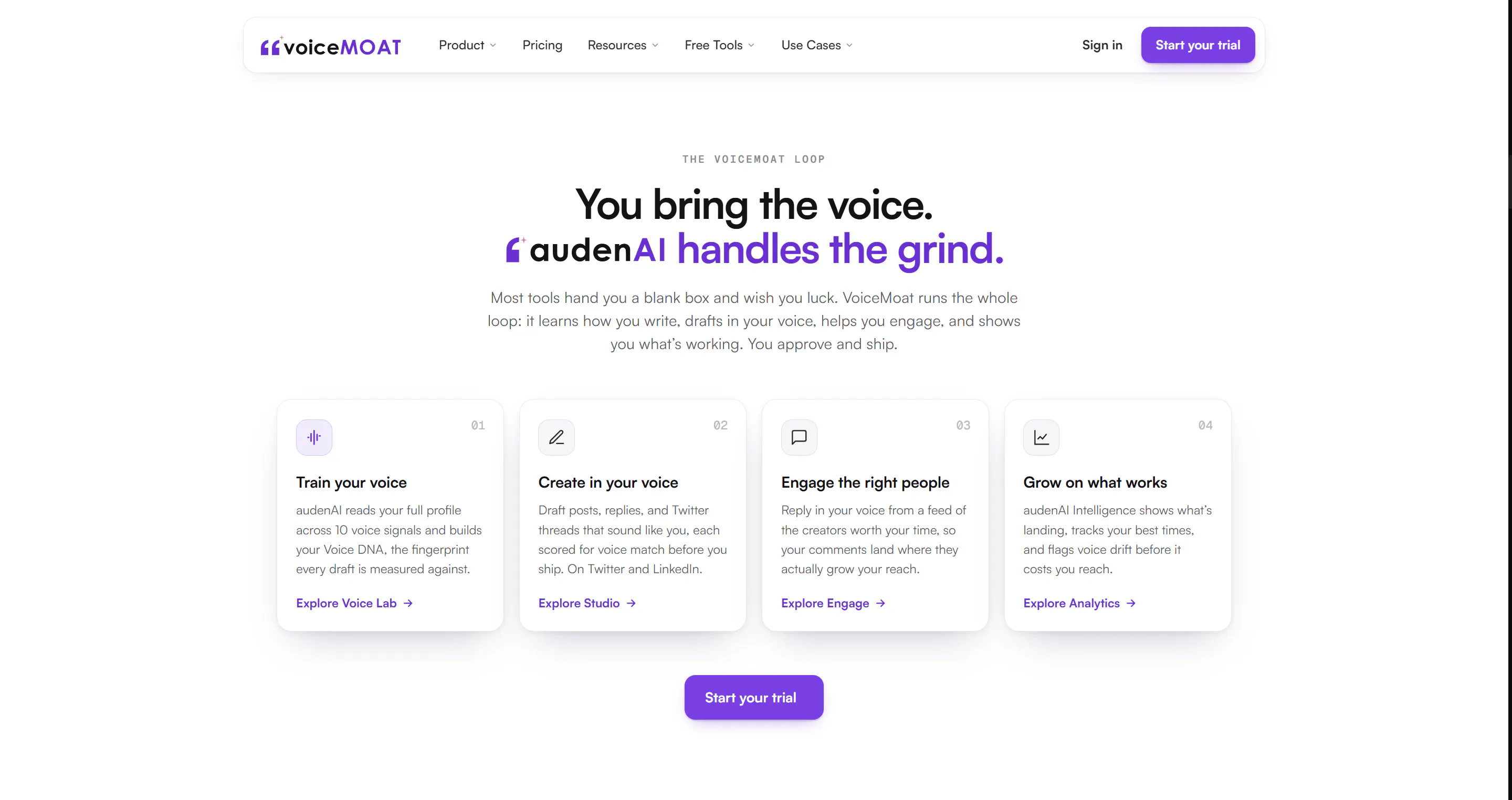 VoiceMOAT gallery image