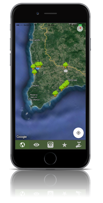 Tree The World gallery image