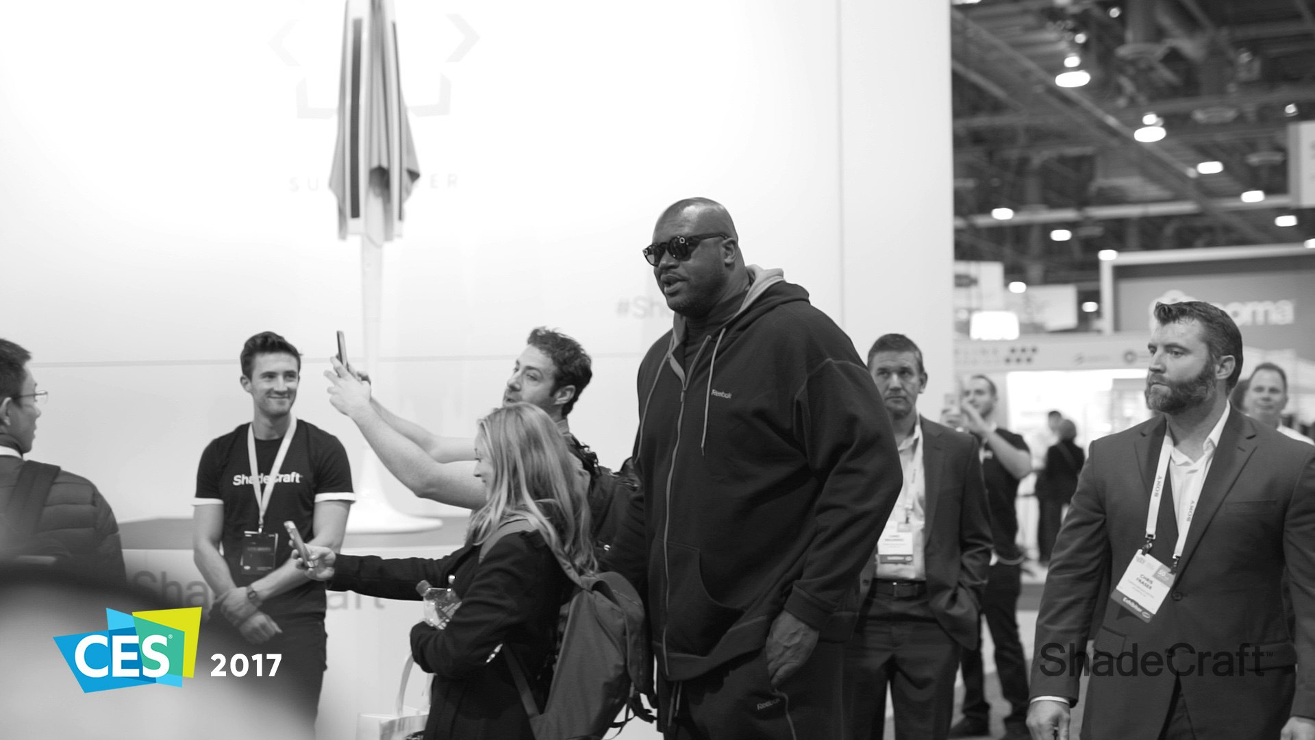 Sunflower gallery image