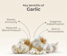 Dehydrated Garlic Powder gallery image