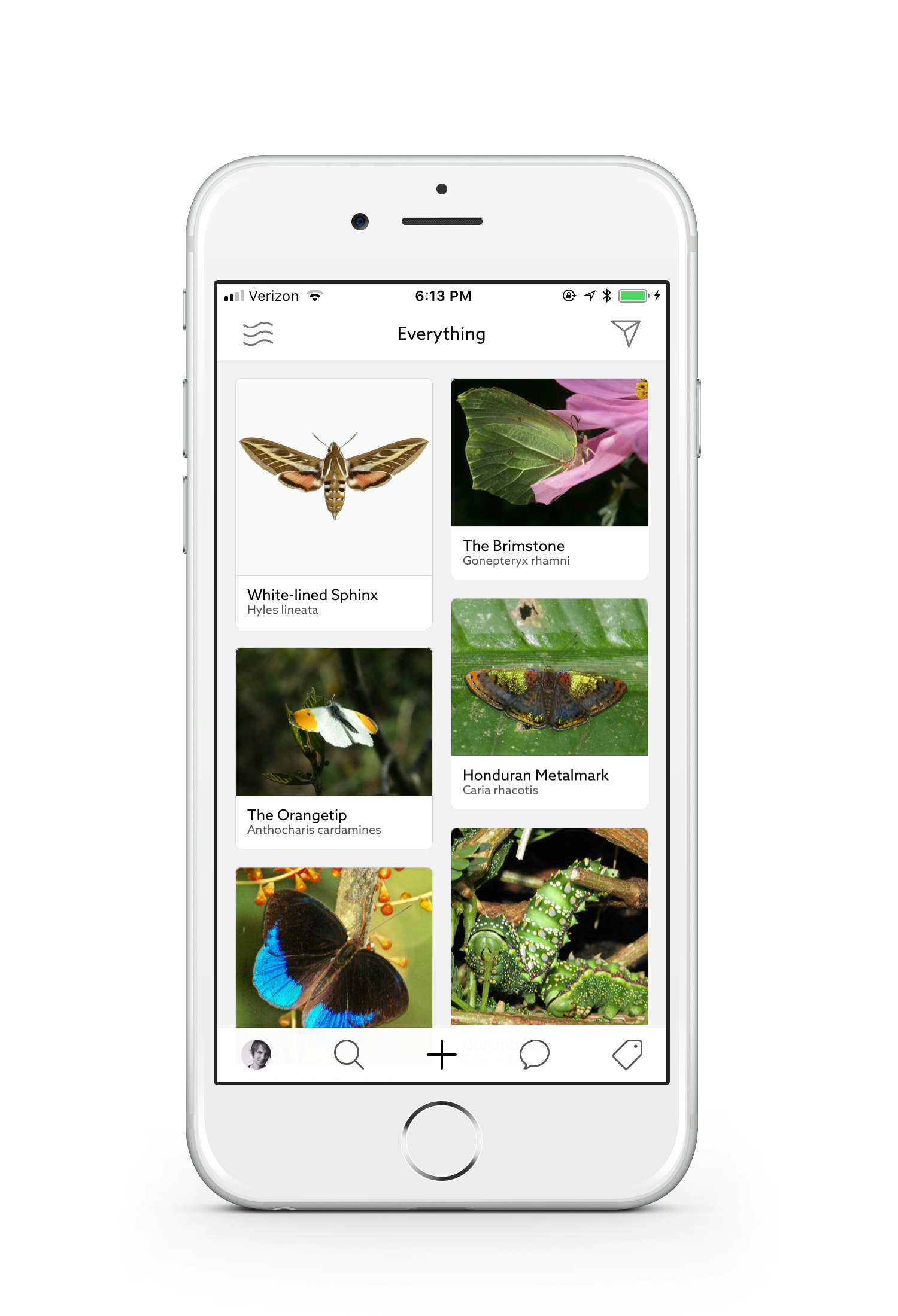 Leps by Fieldguide gallery image