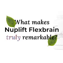 Flexbrain gallery image