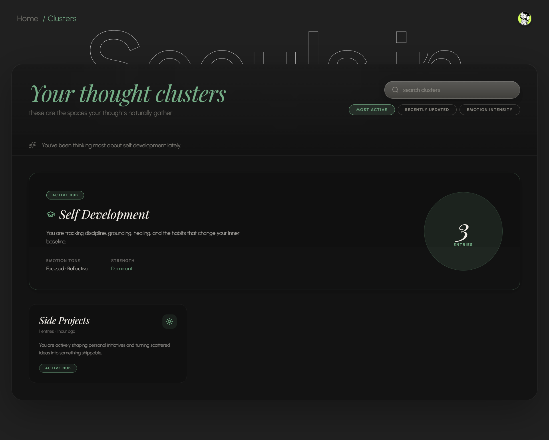 Soouls — A quieter way to think gallery image