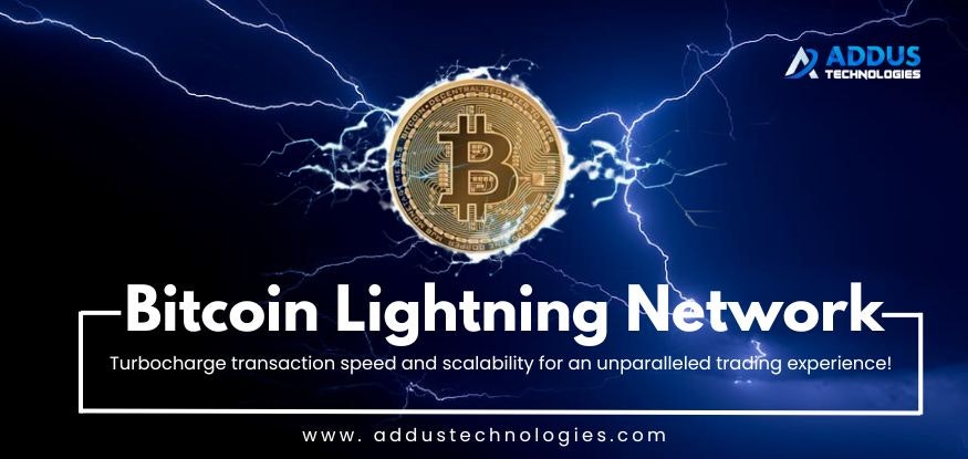 Crypto Lightning Network Payment Gateway screenshot 3