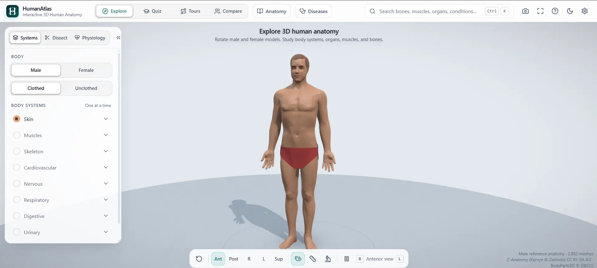 HumanAtlas gallery image