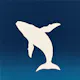 Divevia