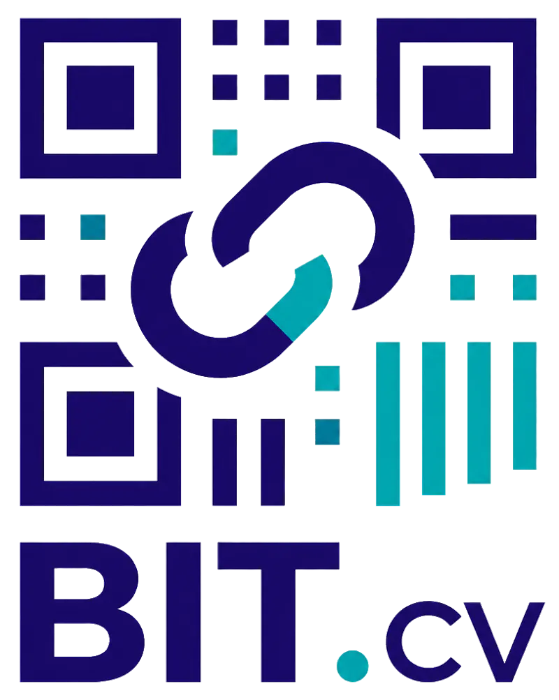 BIT.cv screenshot 2