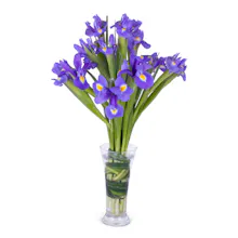 Snapblooms gallery image