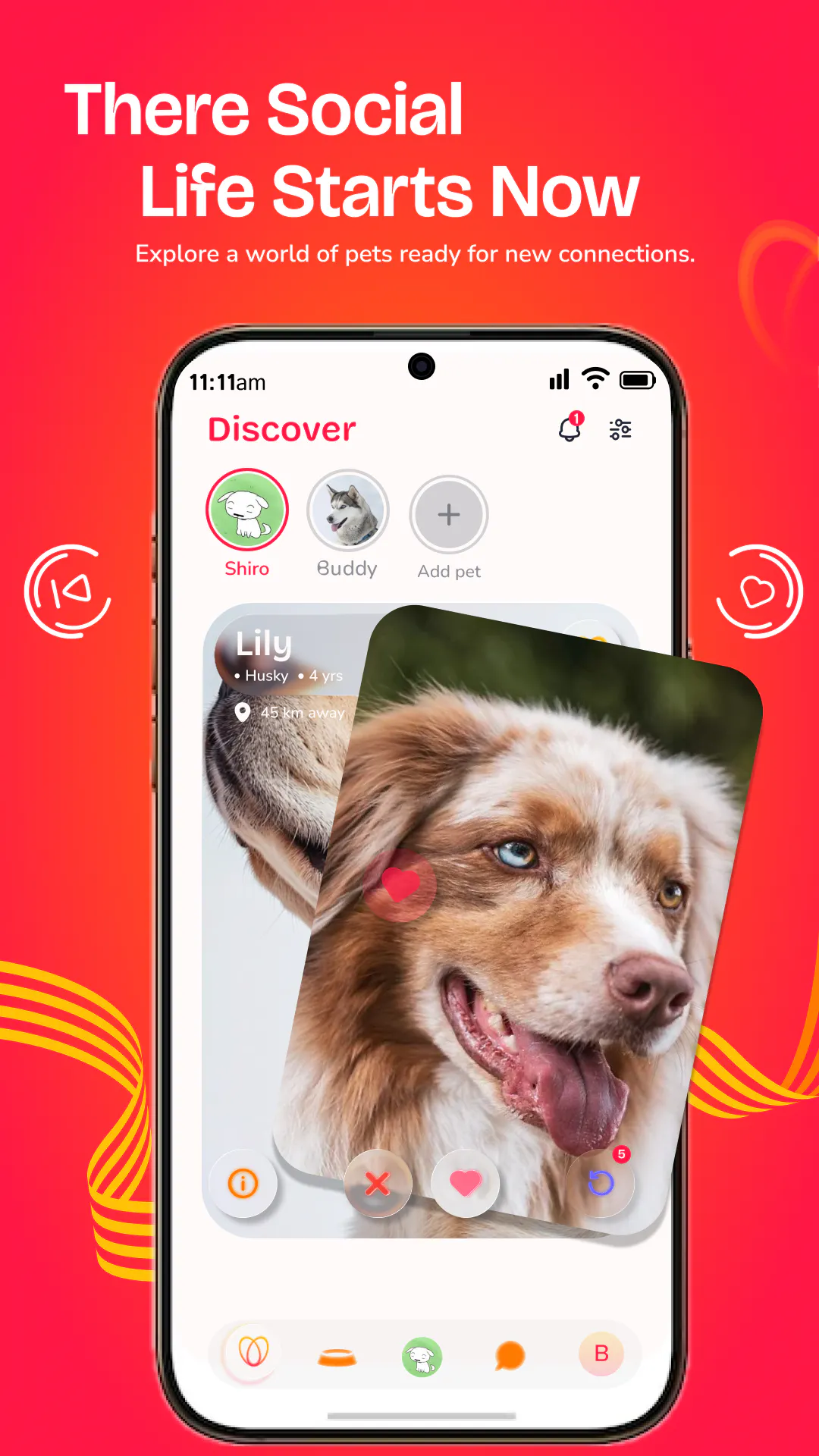 MeetMyPets gallery image