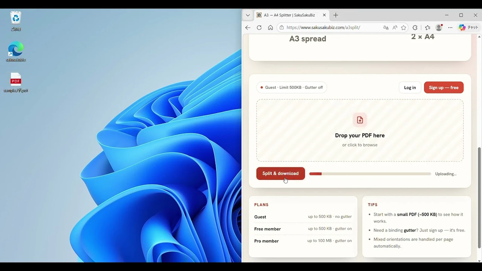 SakuSakuBiz A3 split screenshot 1 (video preview)
