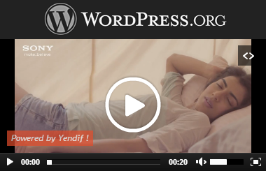 WordPress Player Plugin