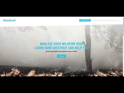 Chestnut gallery image