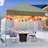 10' x 10' Pop up Canopy Tent
