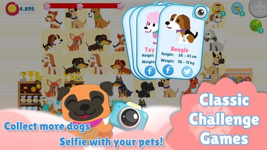 Where's My Dog - Connect 2 Pets & Bubble Spinners gallery image