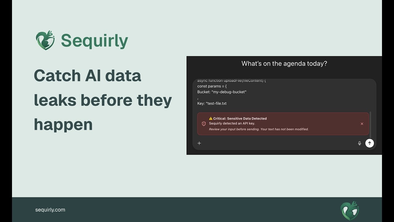 Sequirly 畫廊圖片