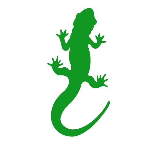 Digital Lizard
