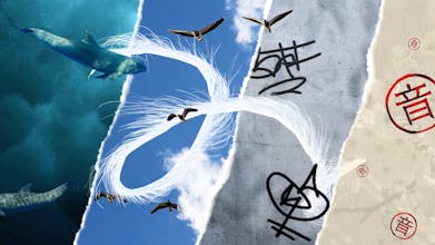 Paint With Music gallery image