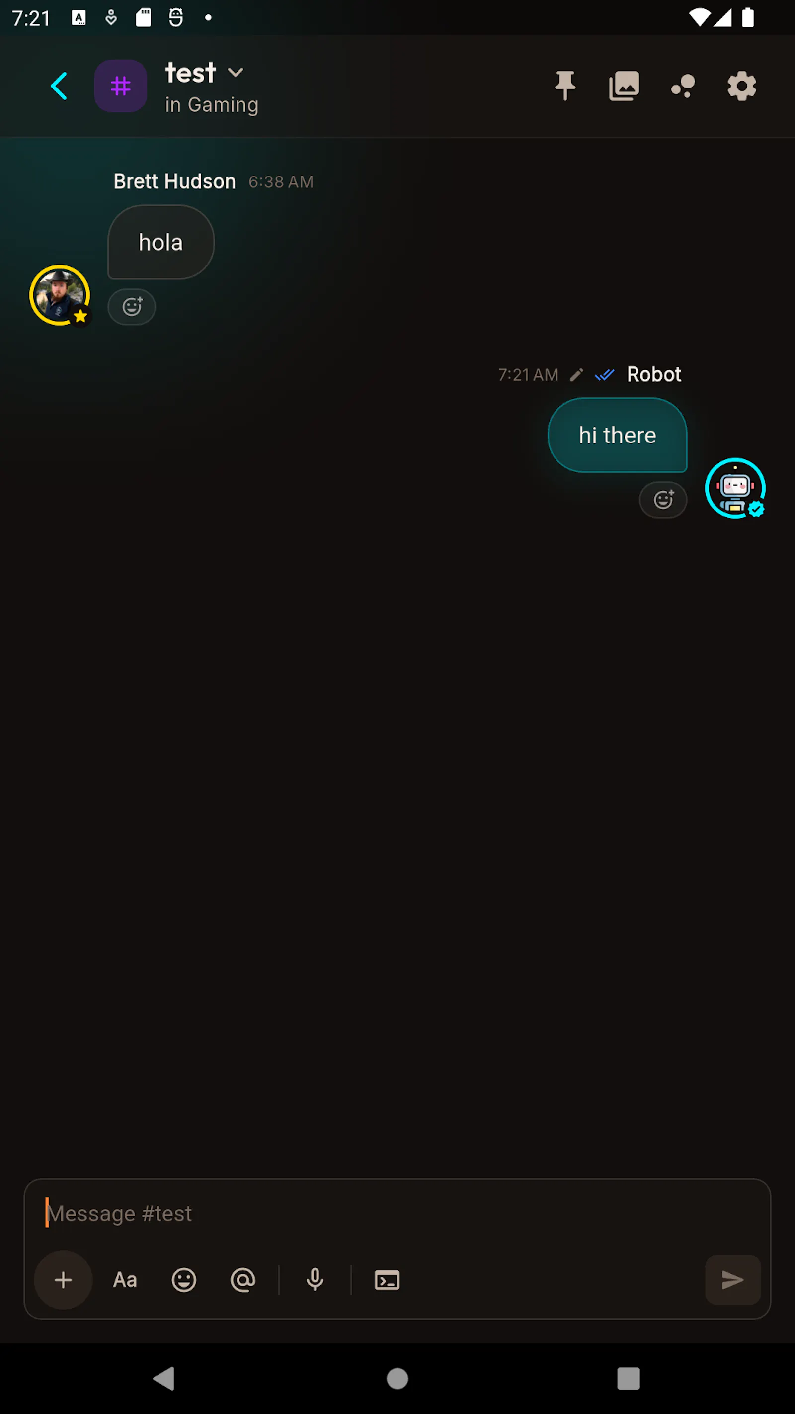 Spaces ChatApp screenshot 3