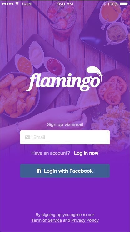 Flamingo gallery image