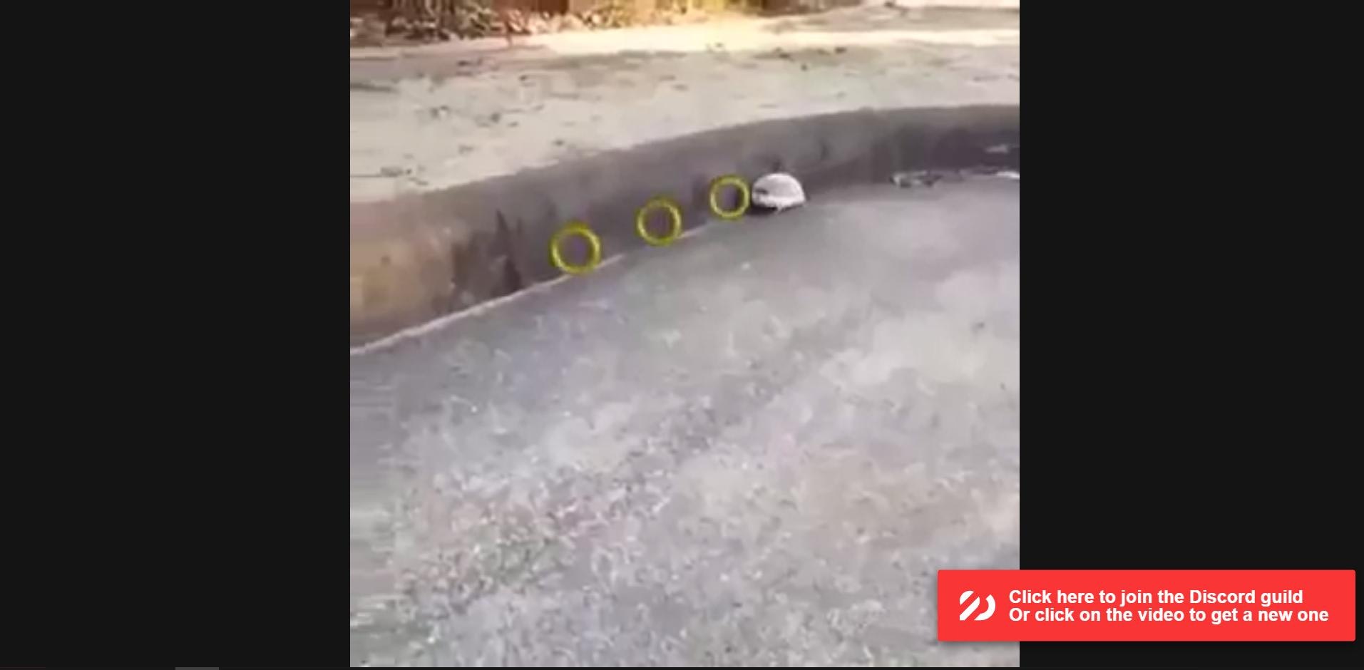 2DFam Party gallery image