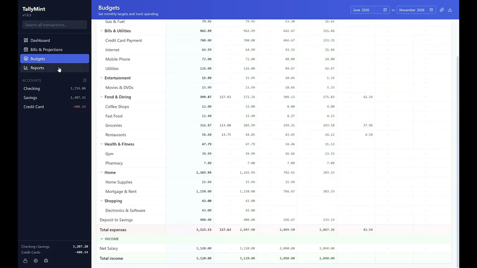 TallyMint screenshot 1 (video preview)