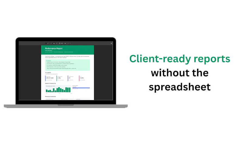 ROAS Copilot screenshot 3