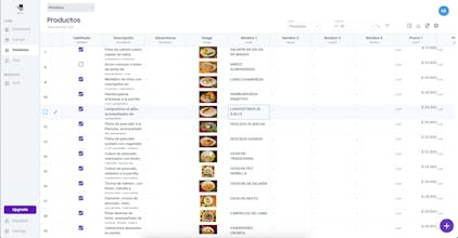 Webcat gallery image