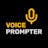 VoicePrompter