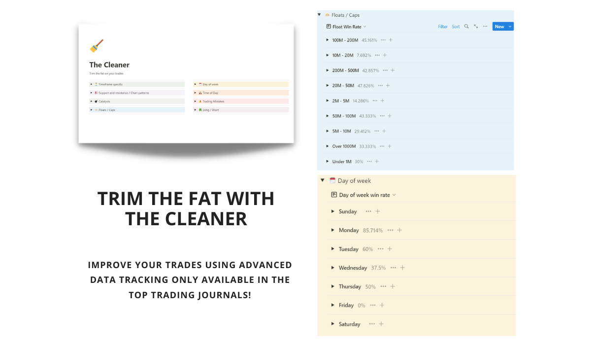 Notion Pro Trader media 3