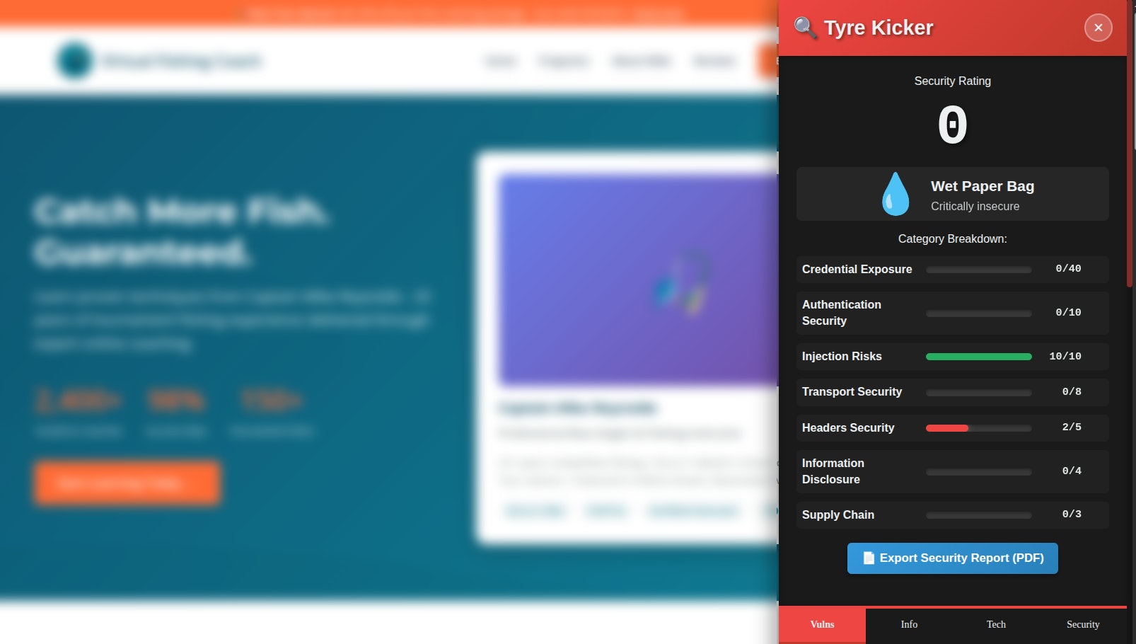 Tyre Kicker Security Scanner - Main product screenshot demonstrating key features and user interface