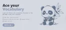 Ace Vocabulary