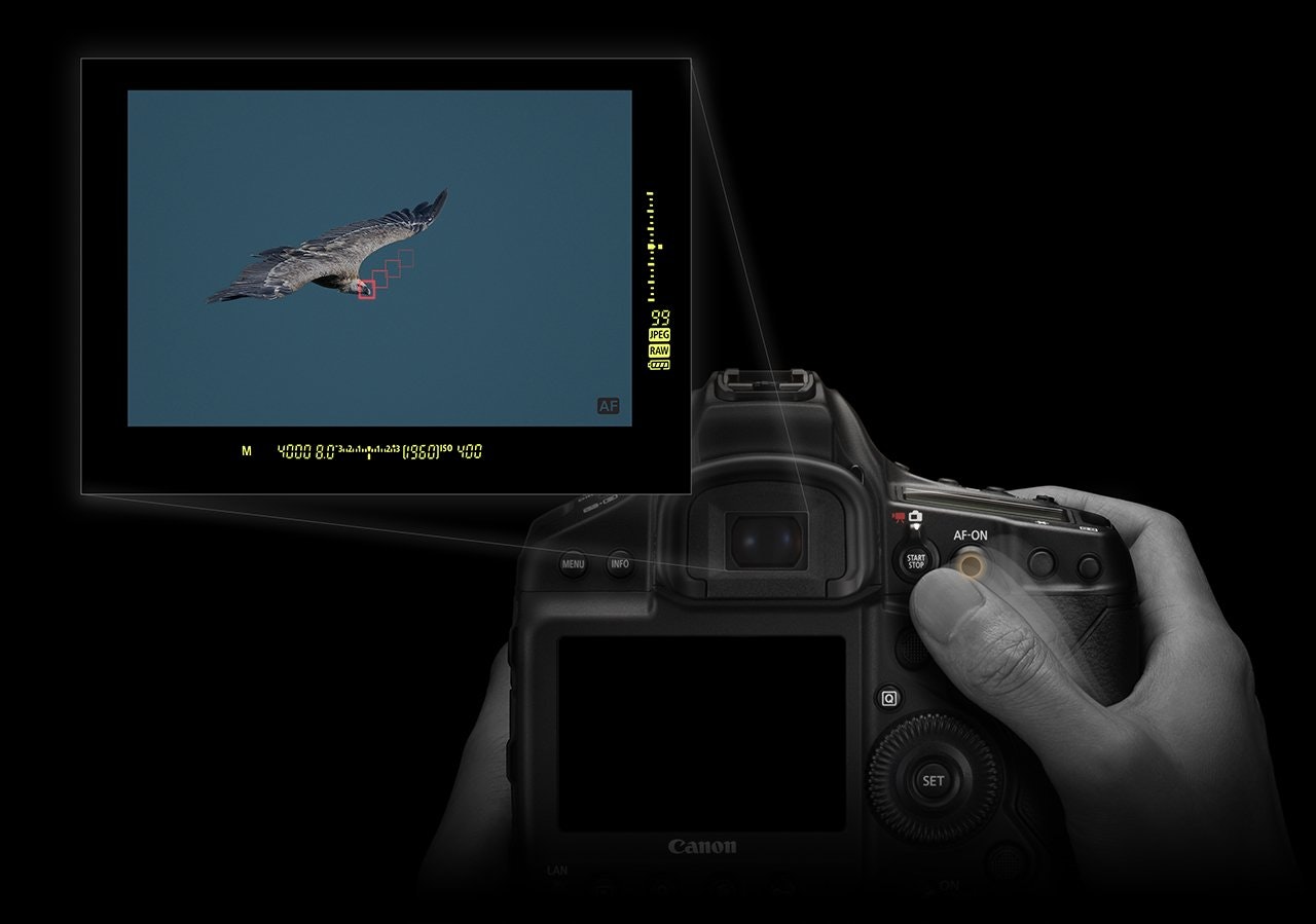 Canon EOS-1D X Mark III gallery image