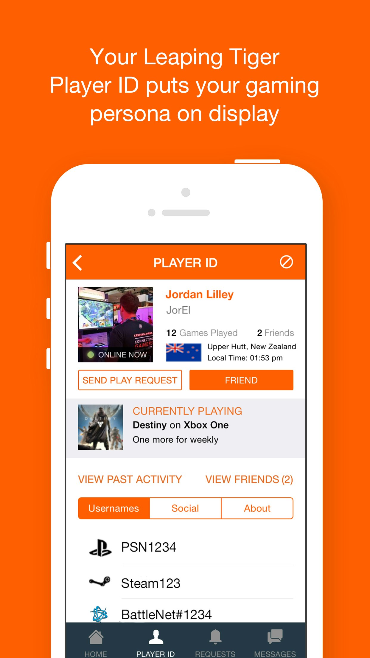 Leaping Tiger gallery image