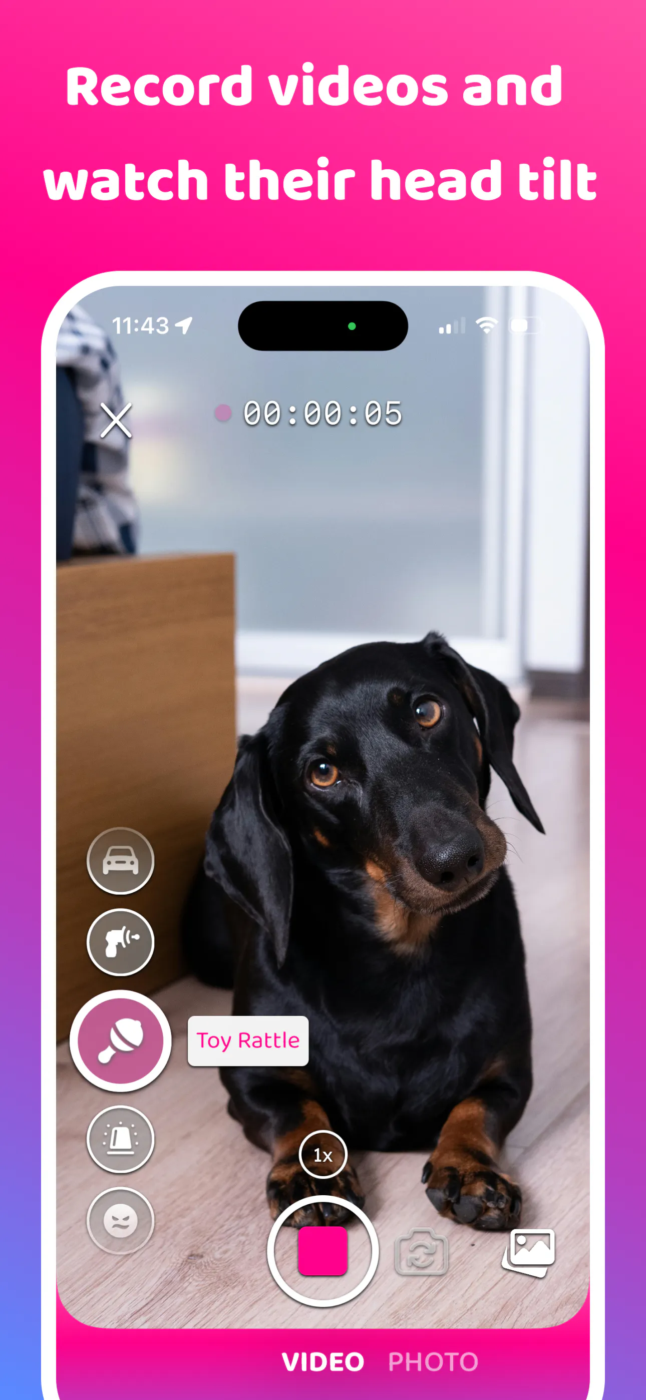 DogCam - Dog Selfie Camera gallery image