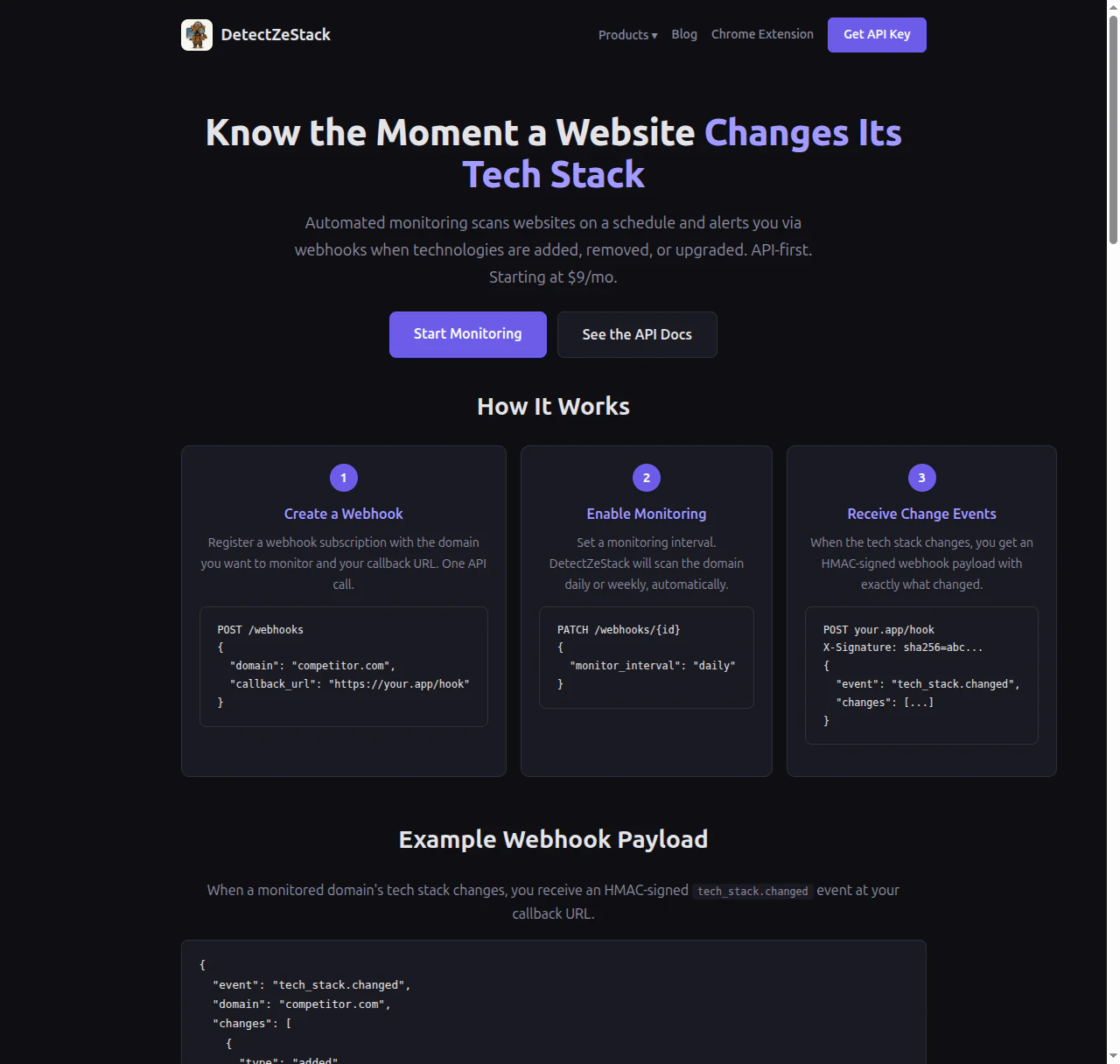 DetectZeStack — Website Intelligence API screenshot 5