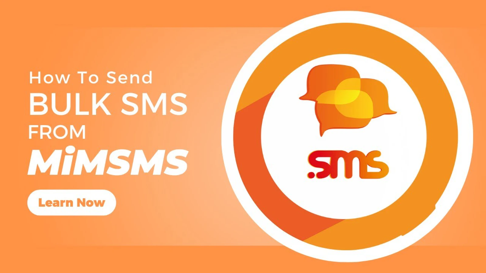 MiMSMS screenshot 1 (video preview)
