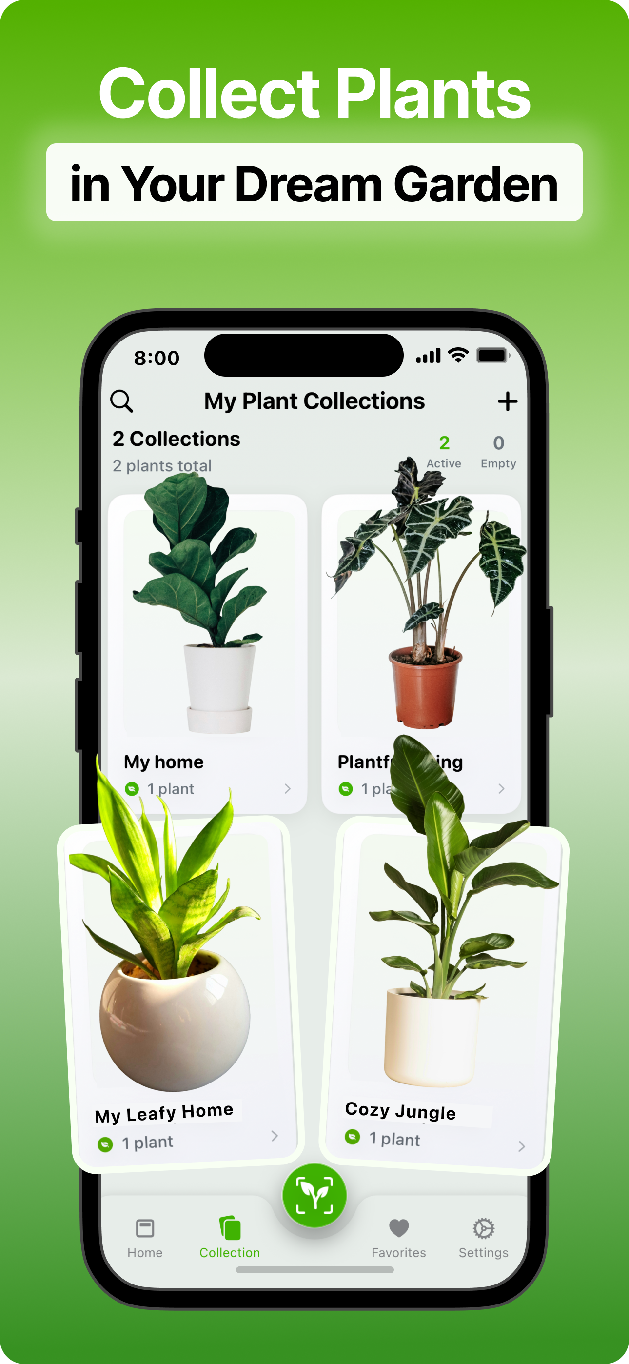 Flora media 4