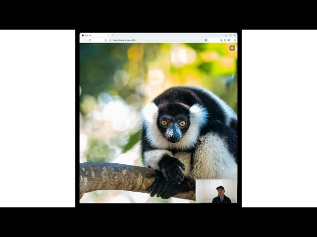 Picture of the Day gallery image