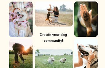 BarkBuddy gallery image