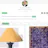 Lasso organizer for interior designs