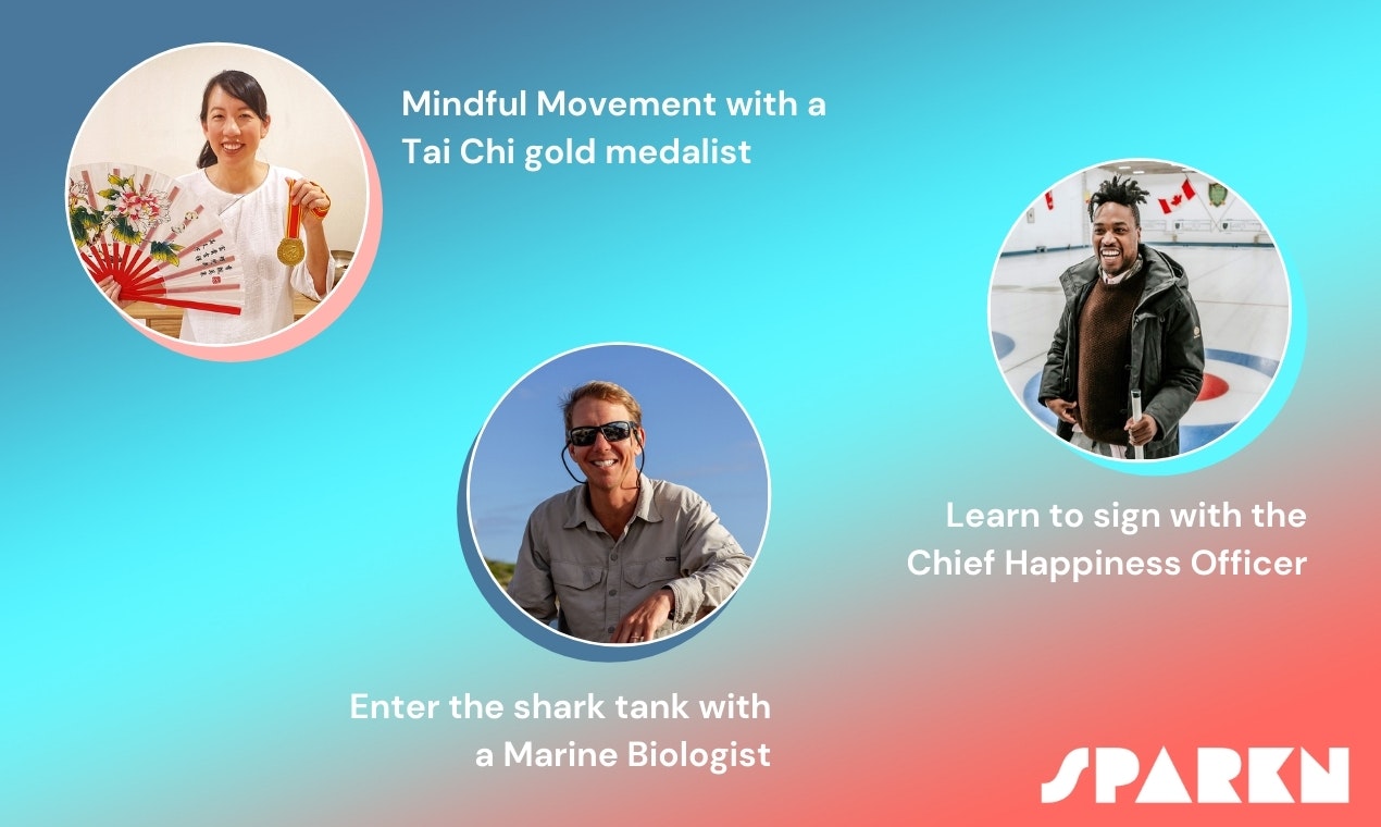 Spark'n gallery image