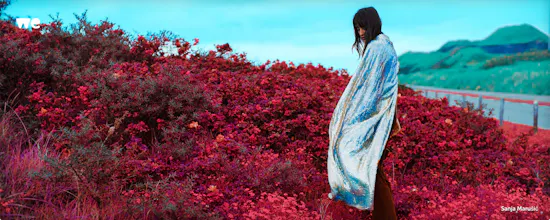 WeTransfer Moment gallery image