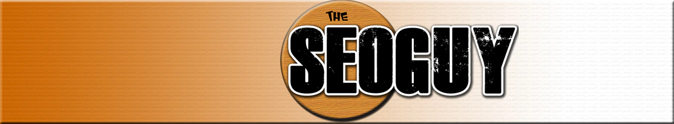 TheSEOGuy India cover