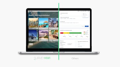 Survey Kiwi gallery image