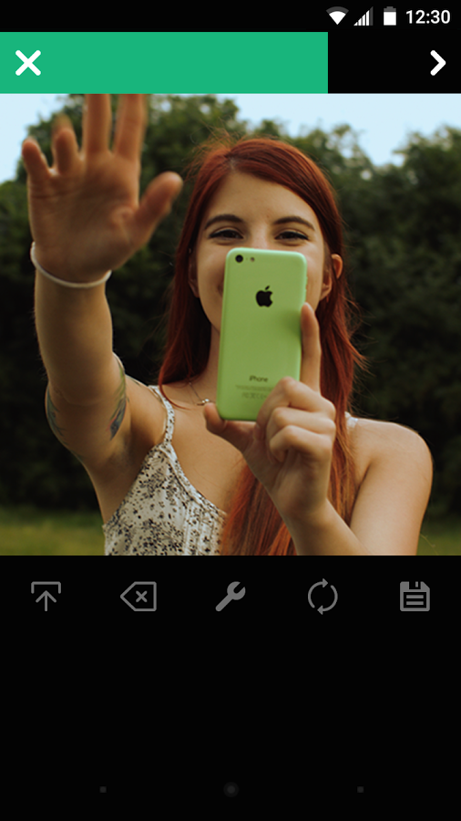 Vine on the Web Image