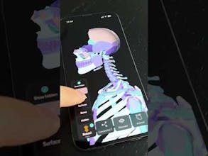 Easy Anatomy 3D gallery image